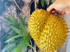 -物美大卖场(玉蜓桥店)