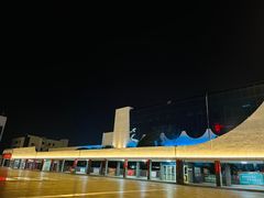 -岳阳站