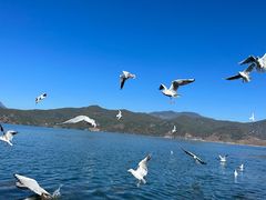 -丽江泸沽湖景区