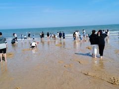 -渡海小渔村.老辈日照菜