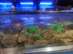 -V-ONE西雅图海鲜自助餐厅(仓山万达广场店)