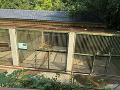 -合肥野生动物园