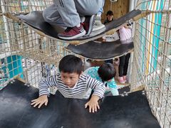 -季高兔窝窝亲子园(上海薰衣草公园店)