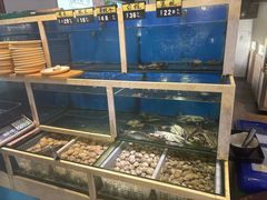 -泰白海鲜烧烤大全
