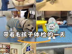-泰洋动物医院·神经专科·磁共振·CT(天河公园总院)