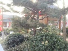 -郑州银基黄帝宫御温泉