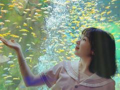 -合肥海洋世界