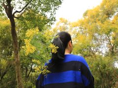 -厦门国家会计学院