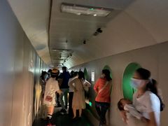 -白鹤梁水下博物馆