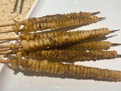 -红柳枝滩羊烧烤·非遗