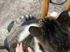 -铜瓢江湖兔火锅(水碾河社区店)