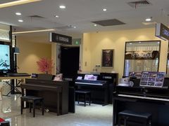 -知音艺术教育培训·钢琴培训·音乐培训(河西金鹰世界校区)