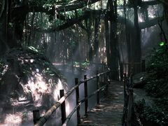 -青青世界