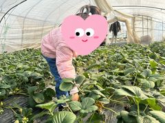 -小鱼草莓采摘园农家乐·小鱼餐厅