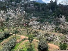 -樱桃山旅游景区