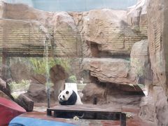 -成都动物园