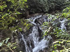 -莫里热带雨林景区