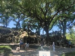 -绍兴鲁迅故里·沈园景区