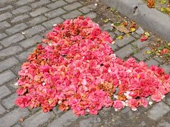 -江南大学(蠡湖校区)