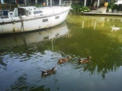 -喜洲吧·江畔老船厂·庭院餐厅(喜临院店)