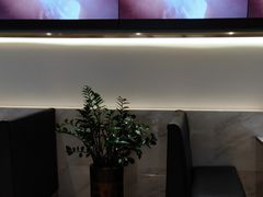 -813芭依珊 BAESAn(汇港购物中心店)
