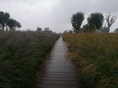 -汉长安城未央宫国家考古遗址公园