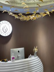 -MUSES专业脱毛比基尼サロン日式连锁