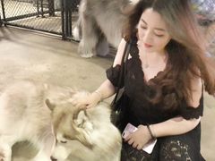-TrueLove @ Neverland (Husky Cafe)
