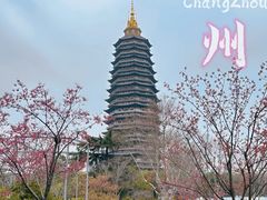 -青果巷历史文化街区