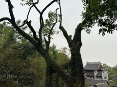 -岳麓山风景名胜区