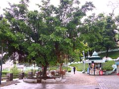 -龙环葡韵住宅式博物馆