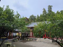 -宫事颐庭·老佛爷贵寿下午茶(颐和园店)