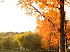 -大宁灵石公园西门票处