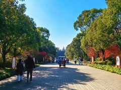 -上海海湾国家森林公园