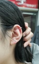 -花师傅