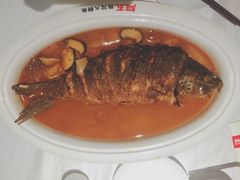 -阿五黄河大鲤鱼(纬三路店)