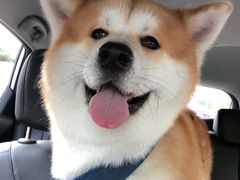 -北京联通昊普别克4S店(亚运村店)