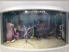 -中国第四纪冰川遗迹陈列馆