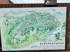 -铁山坪森林公园