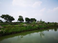 -滆湖低碳生态公园