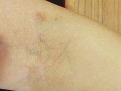 -大家乐(广州天河城六楼店)