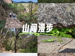 -大岭沟猕猴桃谷风景区