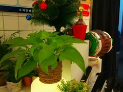 -恋暖初茶(万菱汇店)