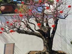 -龙华寺