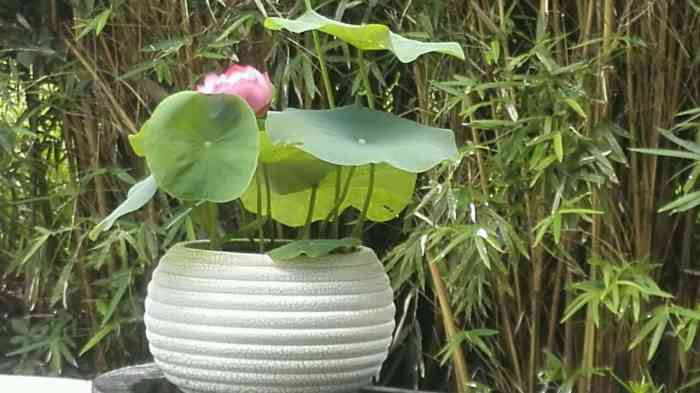 水月湾休闲会所-"陈村镇中心区域的外围位置,不算太容易找到.