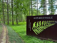 -黄海国家森林公园