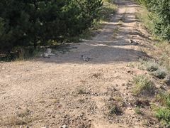 -鄂尔多斯野生动物园