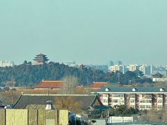 -北京饭店谭家菜