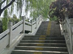 -洛阳市隋唐城遗址植物园