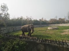 -西安秦岭野生动物园